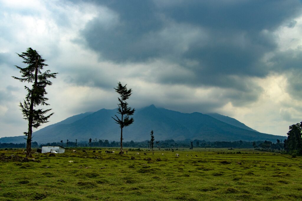 pazintine-kelione-i-ruanda-ir-uganda