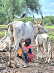 Pietų Sudanas mundari gentis